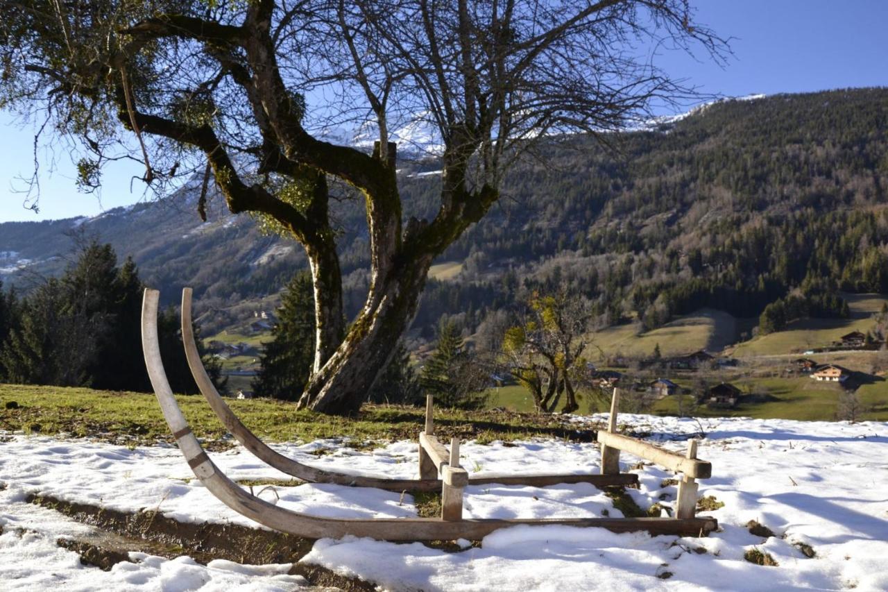 Les Picaillons - Le Chalet Les Villards-sur-Thones Екстер'єр фото